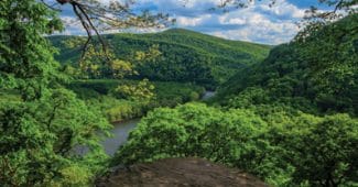 Best places to visit in Springfield – Pennsylvania